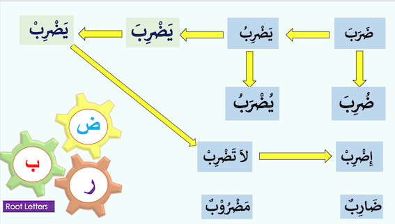 members of Arabic Family 
